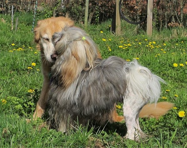 Kai en zijn grote liefde Lima