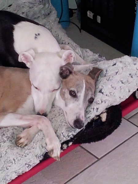 ik kan niet meer zonder je.