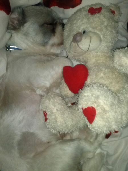 Wakker worden naast je Valentijn