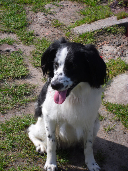 nestgenoten Anna Paulowna