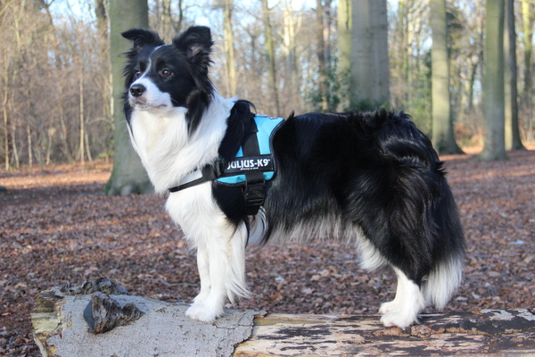 Borders From The Sky