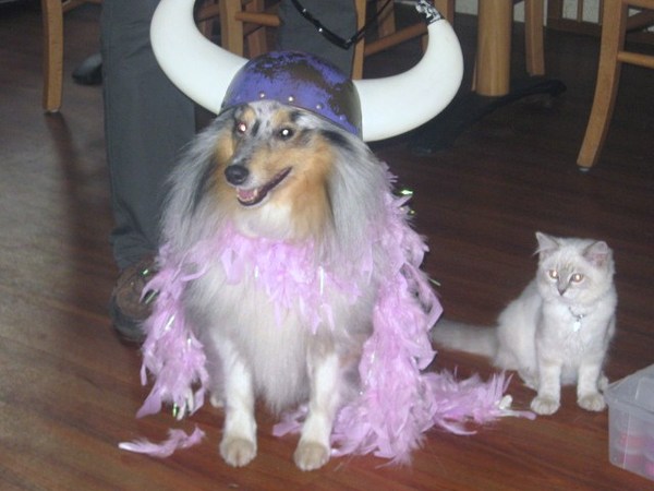 Kom mijn dikke vriend, let's party