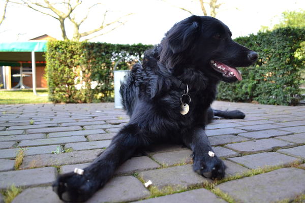 oogh wat ben ik zielig. mag me snoepjes niet pakken!