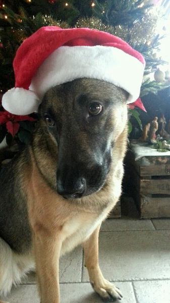 wat.... de kerstman bestaat niet.........