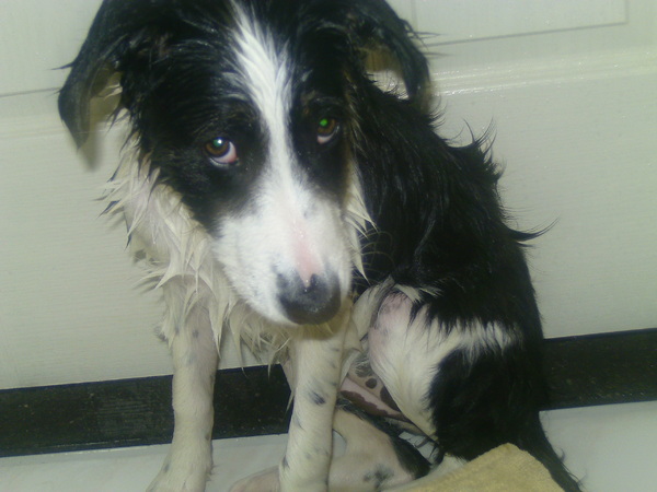 ik hou niet van douchen