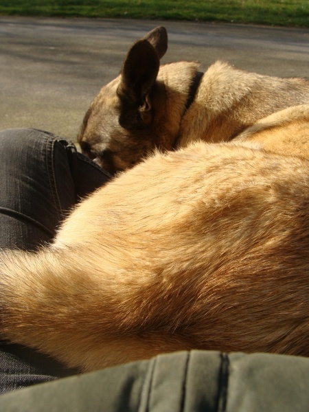 Je hebt van die dagen...