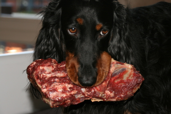 Dan heb je eindelijk je maaltijd