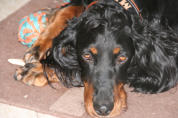 Ze willen weer wat me.., maar ik ben zoooo moe