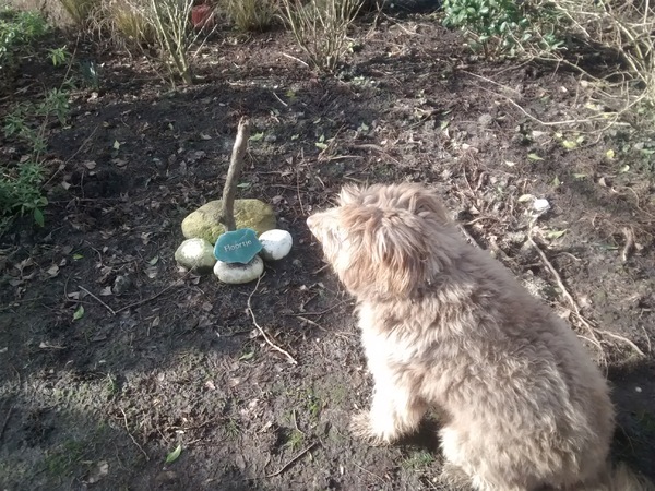 Belle bij graf Floortje