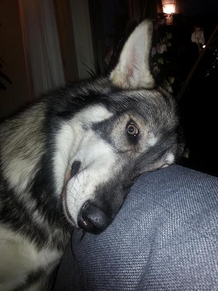 Geen foto's meer, please!