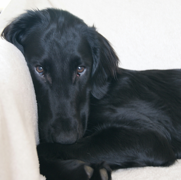 Ziek, dus heel zielig.