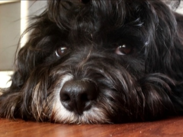 Wie zielig? Ikke !!!!