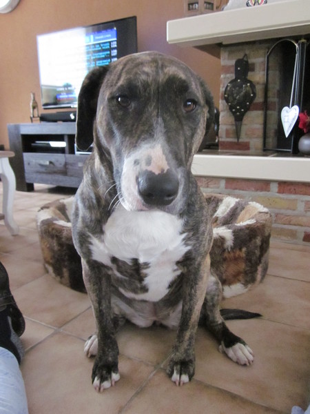 o wat ben ik toch zielig.