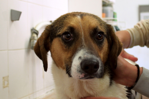 Mag ik alsjeblieeeft uit bad? 