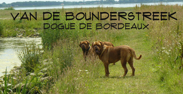 Van de Bounderstreek