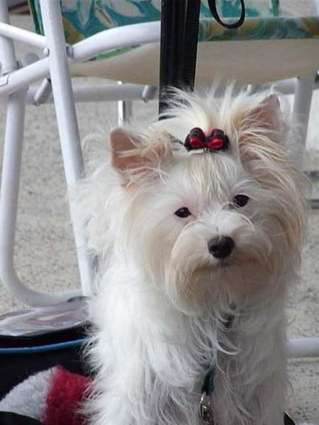 @ Jolly Shelter
