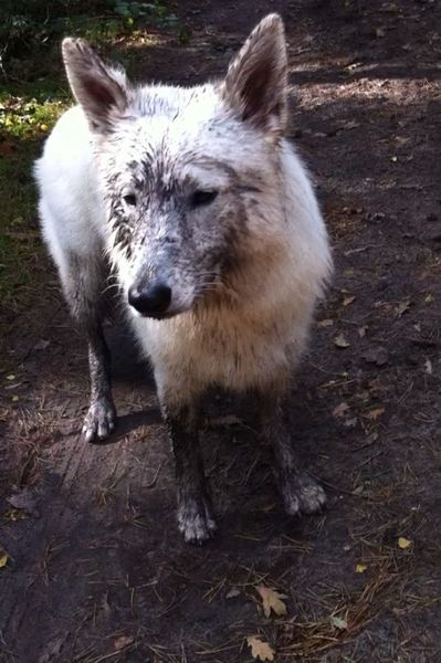 Ik voel mij zooooo vies