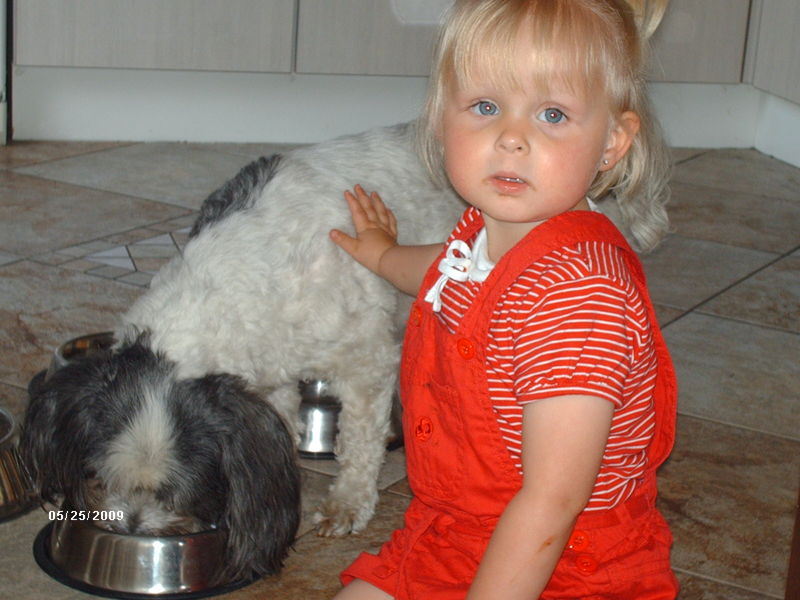 turbo vind alles prima