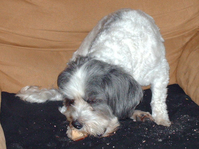 heerlijk zo'n mergpijp