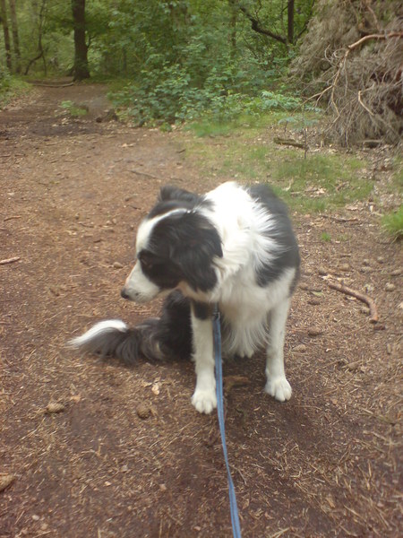 Ik wil niet op de foto