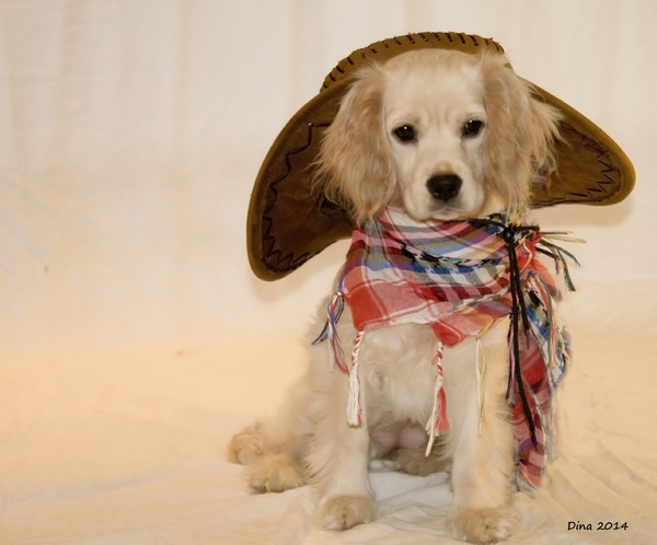 dina's eerste fotoshoot