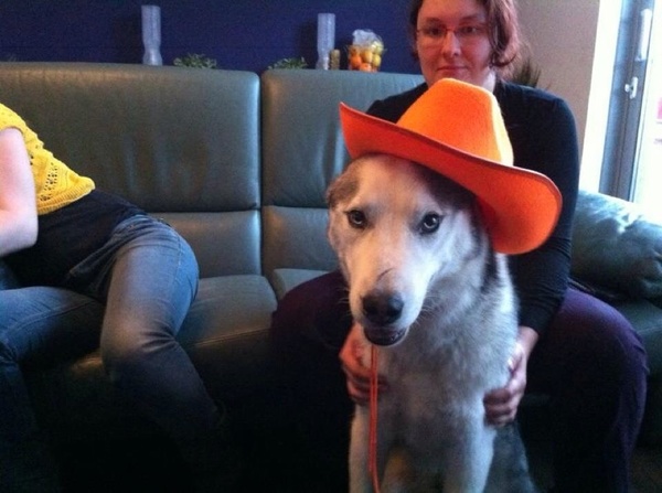 Lang leve de koning!