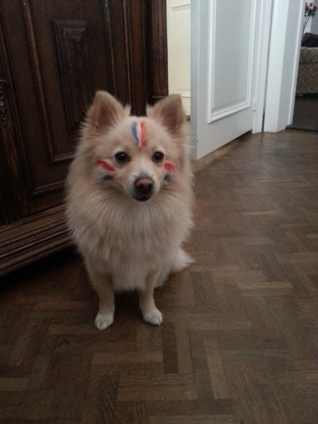 Vrolijke koningskees!