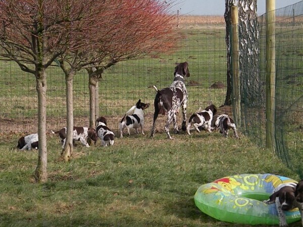 Du Domaine Chablesse