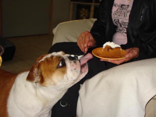 kan je het missen ???