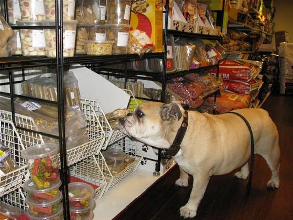 hmm tja wat zal ik vandaag weer eens eten 