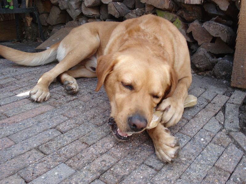 Butch met een lekker botje