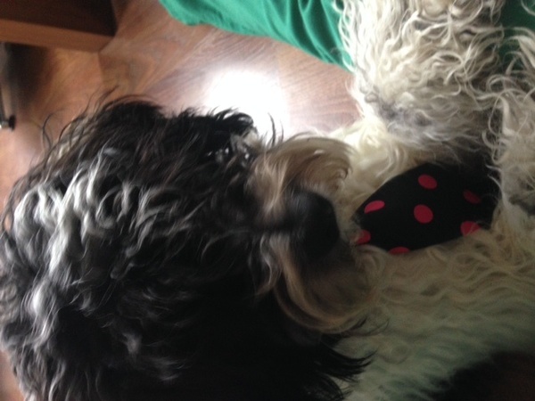 Ik ben echt wel een heer 