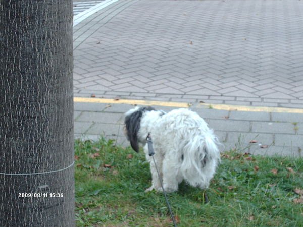 Zo ff lekker poepen.