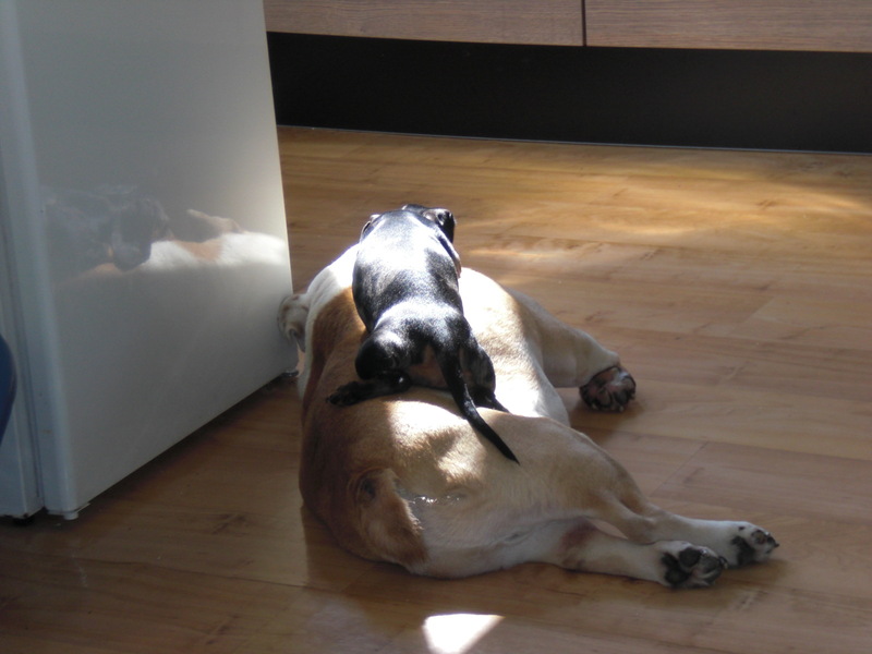 Julia en Elmo..........