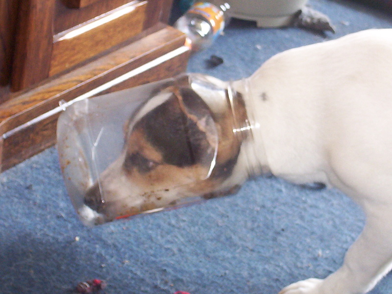 satan stiekem snoepen