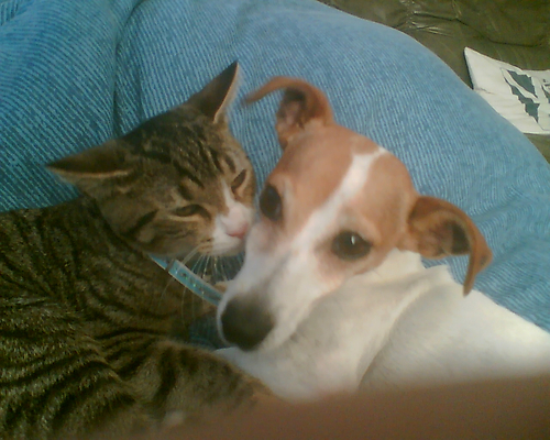 lucky samen met cleo