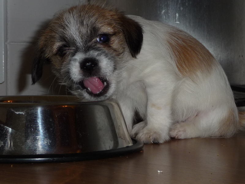 minou eet graag met haar mond open :P