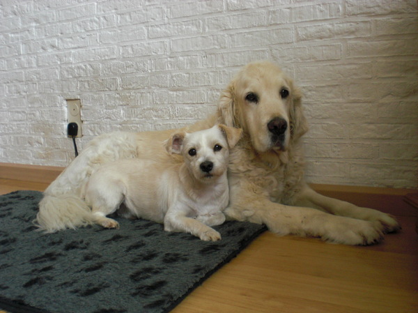 vrienden voor het leven?