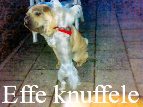 effe knuffeleee