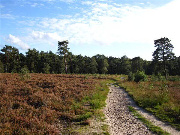 Landgoed lievensberg