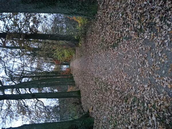 Landgoed Hemmen