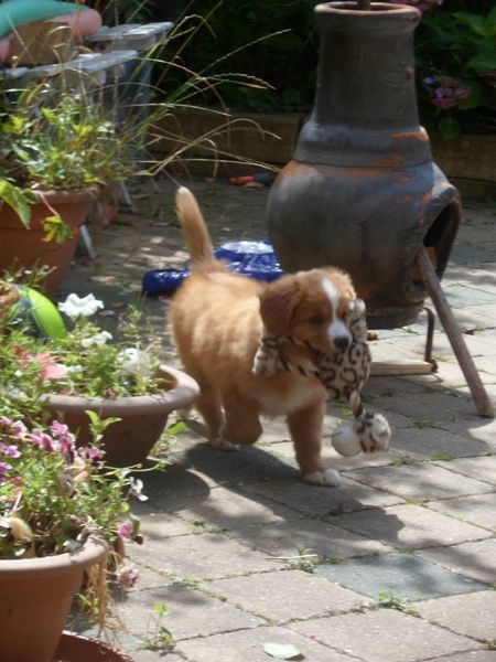 Broertjes en Zusjes Diva