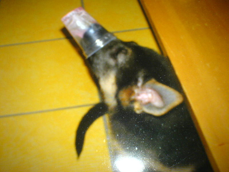 tijd voor een toetje!!