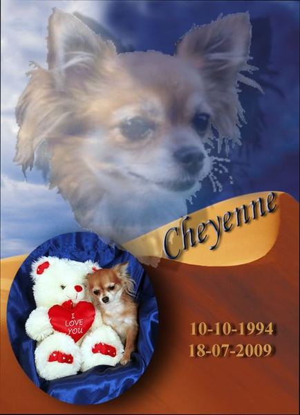 Souvenir Cheyenne
