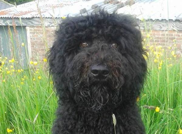 Wijs in de camera kijken.