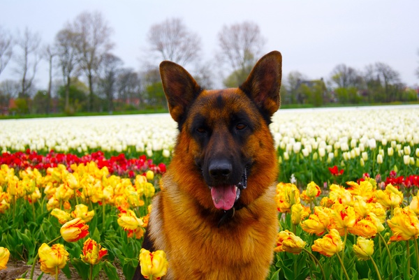 Kleurige portretfoto