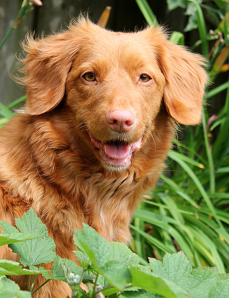 Mijn prachtige meisje
