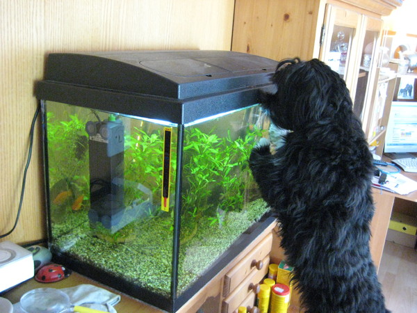 Hoe kom ik daar nou in???