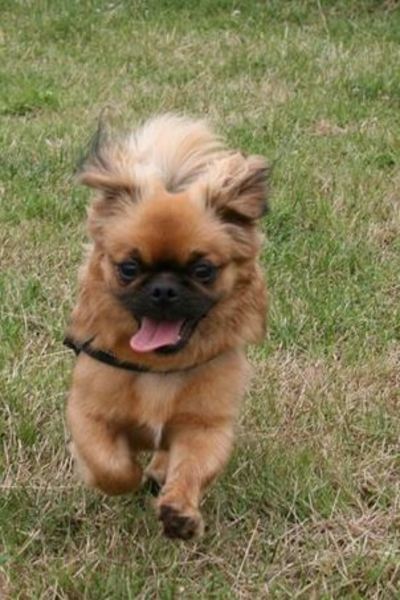 cindy tijdens dagje opvang