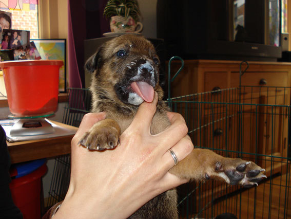 Lekker was dat toch!